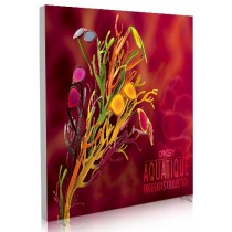 iFrame LED 8ft x 8ft Single Sided Fabric Light Box w/ Free Premium UV 3D Dimensional Backlit Graphic - SKU #6381-88UV