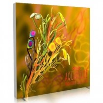 iFrame LED 10ft x 8ft Double Sided Fabric Light Box w/ Free Premium UV 3D Dimensional Backlit Graphic - SKU #6382-108UV