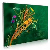 iFrame LED 20ft x 8ft Double Sided Fabric Light Box w/ Free Premium UV 3D Dimensional Backlit Graphic - SKU #6382-208UV