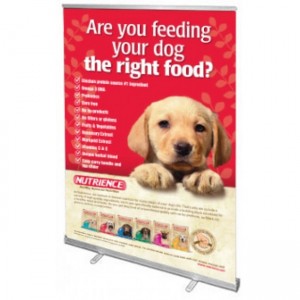 Economy Retractable Banner Stand 59“ w/ Free Single Sided Graphic Print  - SKU #6112-59